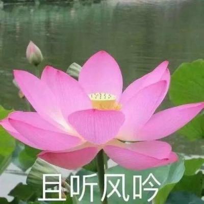 云博体育平台官网下载